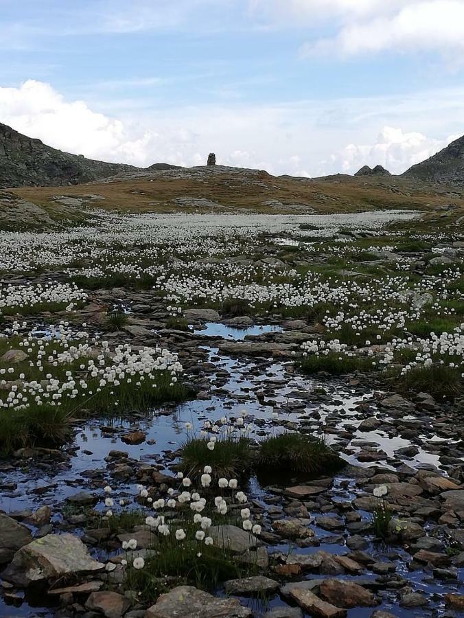 Chalet Niederhaushof Ulten Eksteriør bilde