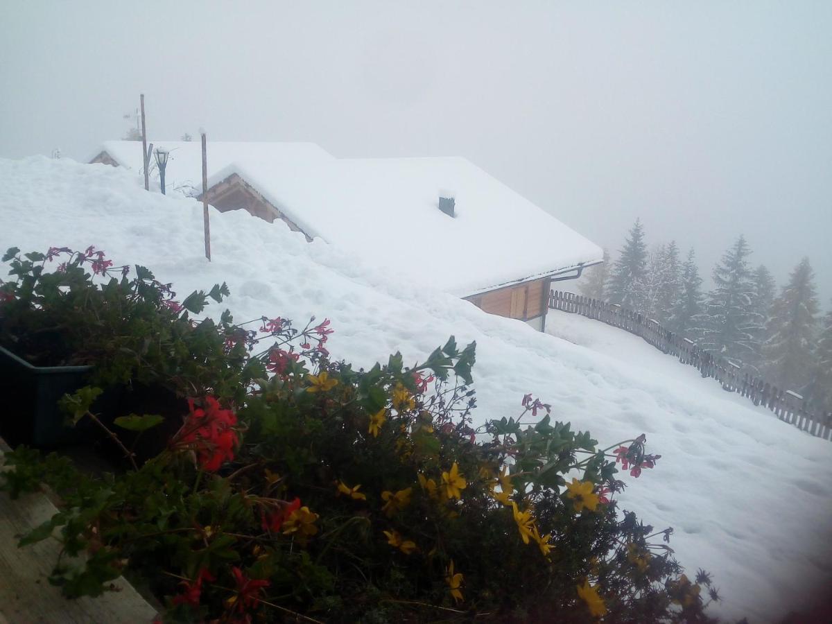 Chalet Niederhaushof Ulten Eksteriør bilde